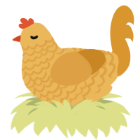 Hikari, a honey and orange chicken with a lace pattern
