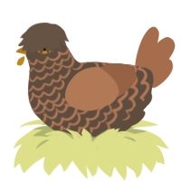 Acorn Coffee, a bark and brown chicken with a lace pattern