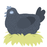 Stone, a overcast and bark chicken with a double-lace pattern
