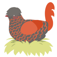 (unnamed), a grey and vermilion chicken with a lace pattern