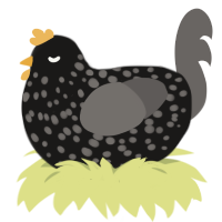 A sable and grey chicken with a speckle pattern