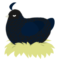 tumblr dot com, a sable and tumblr chicken with a double-lace pattern