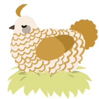 Caramel, a cream and gold chicken with a lace pattern