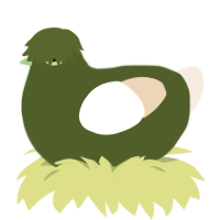 Keito, a olive and cream chicken