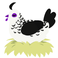 Transcend, a white and black chicken with a half-lace pattern