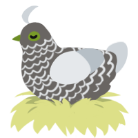 A grey and mist chicken with a lace pattern