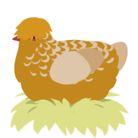 Saffron, a ochre and beige chicken with a half-lace pattern