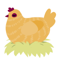 (unnamed), a honey chicken with a bar pattern