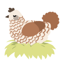 Coffee bean, a cream and brown chicken with a lace pattern
