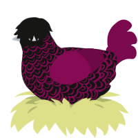 Pepper, a black and wine chicken with a double-lace pattern