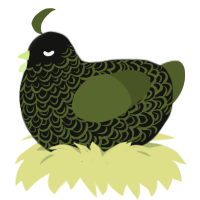 A black and olive chicken with a double-lace pattern