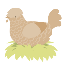 ciabatta, a beige chicken with a lace pattern