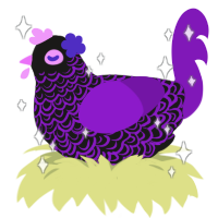 Milka Coral, a sable and violet chicken with a double-lace pattern