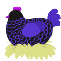 (unnamed), a sable and indigo chicken with a lace pattern