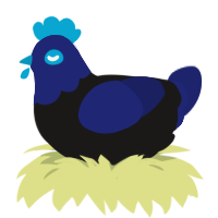 A sable and navy chicken with a head pattern