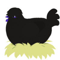 BEHOLD DARKCHILD, a sable chicken with a double-lace pattern