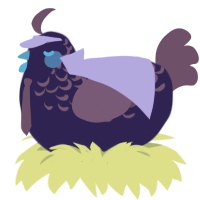 A navy and overcast chicken with a half-lace pattern