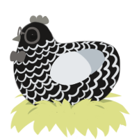A sable and mist chicken with a lace pattern