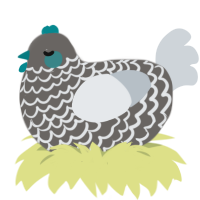 whiteturq proj, a grey and mist chicken with a lace pattern