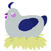 Sock, a silver and navy chicken