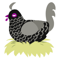 A black and ash chicken with a lace pattern