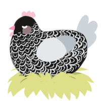 Pastel choth, a sable and mist chicken with a double-lace pattern