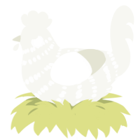 A white chicken with a bar pattern