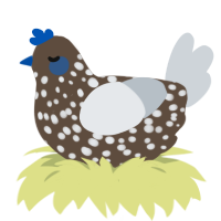 A bark and mist chicken with a speckle pattern