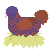 Diesel, a overcast and russet chicken with a double-lace pattern