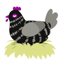 Licorice, a black and ash chicken with a bar pattern