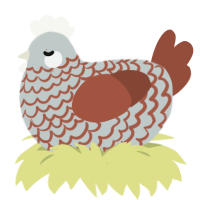 A silver and russet chicken with a lace pattern