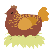 Cinnamon Roll, a russet and orange chicken with a half-lace pattern