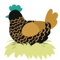shine the shadows, a black and gold chicken with a lace pattern