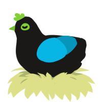 (unnamed), a sable and cerulean chicken