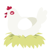 Hen Hen, a white chicken