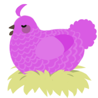 (unnamed), a orchid chicken with a lace pattern