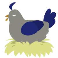 (unnamed), a ash and navy chicken
