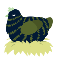 House plant, a tumblr and olive chicken with a bar pattern