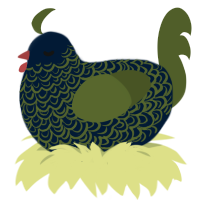 (unnamed), a tumblr and olive chicken with a double-lace pattern