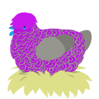Trin, a amethyst and ash chicken with a double-lace pattern