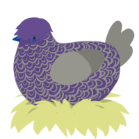 A overcast and ash chicken with a double-lace pattern