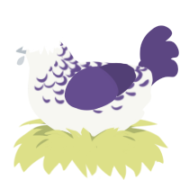 A white and overcast chicken with a half-lace pattern