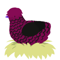 (unnamed), a wine and black chicken with a lace pattern