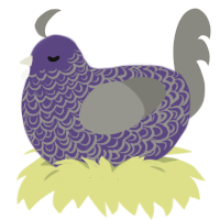 A overcast and ash chicken with a double-lace pattern