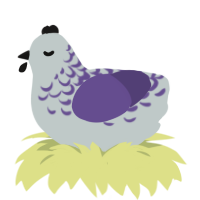 holding for a friend, a silver and overcast chicken with a half-lace pattern