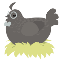 A grey chicken with a half-lace pattern