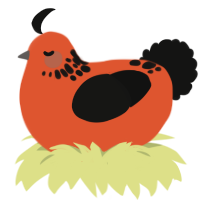 Precious, a vermilion and black chicken with a neck-speckle pattern