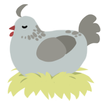 A silver and ash chicken with a neck-speckle pattern