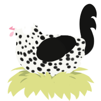 Atom Heart Mother, a white and black chicken with a speckle pattern