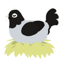 OREO, a mist and sable chicken with a head pattern